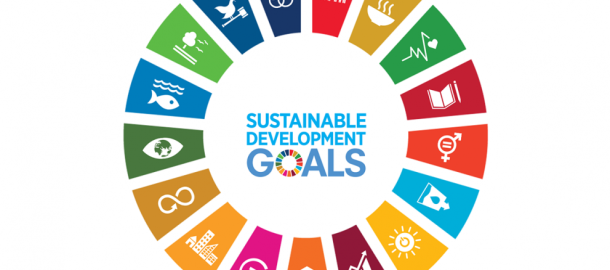 sdg-wheel-landscape-white-bg_en.png